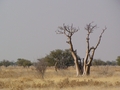 Namibia_369.JPG