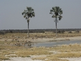 Namibia_373a.jpg