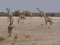 Namibia_381.JPG