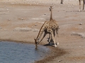 Namibia_384.JPG