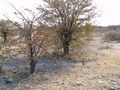 Namibia_387.JPG