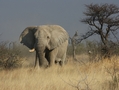 Namibia_393a.jpg