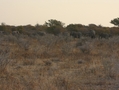 Namibia_397a.jpg